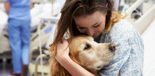 Os benefícios comprovados de ter animais de estimação para sua saúde