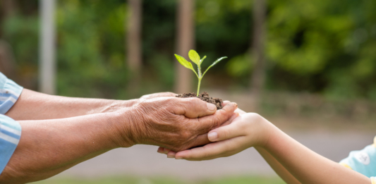 Os benefícios do veganismo para a saúde e o meio ambiente: uma abordagem científica