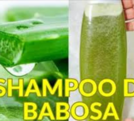 Shampoo de Babosa Caseiro: Beleza e Saúde para Seus Cabelos